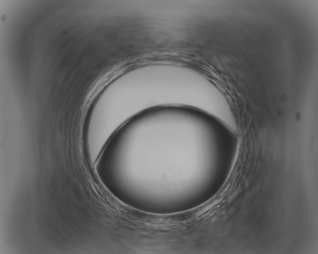 X0000087690293200705040828