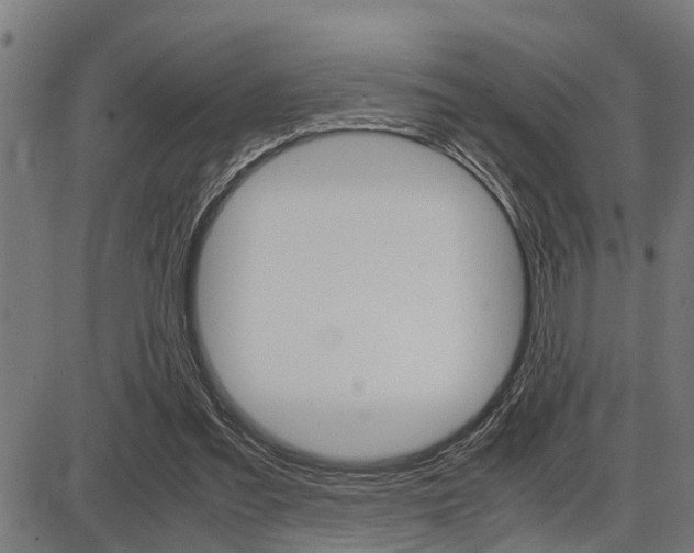 X0000087690301200705040828