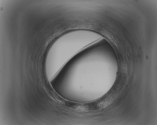 X0000087690303200705040828