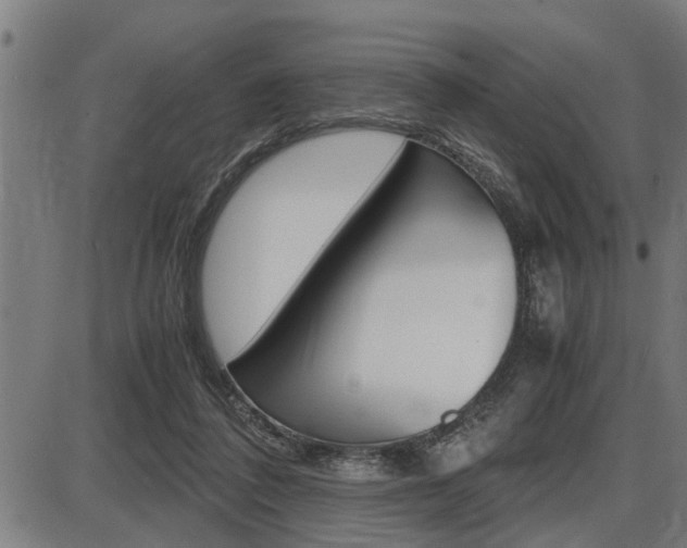 X0000087690308200705040828