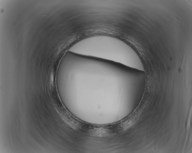 X0000087690310200705040828