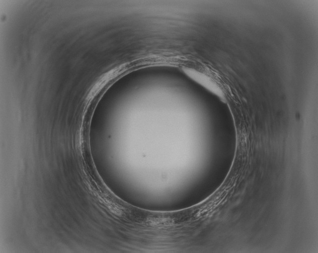 X0000087690340200705040827