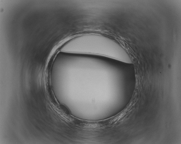 X0000087690342200705040827