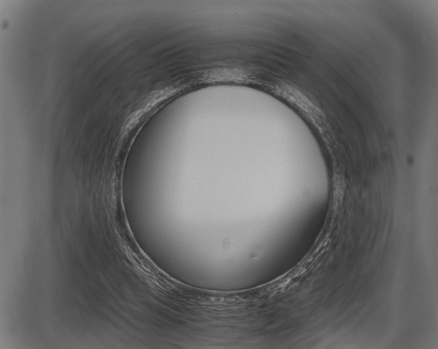 X0000087690345200705040827