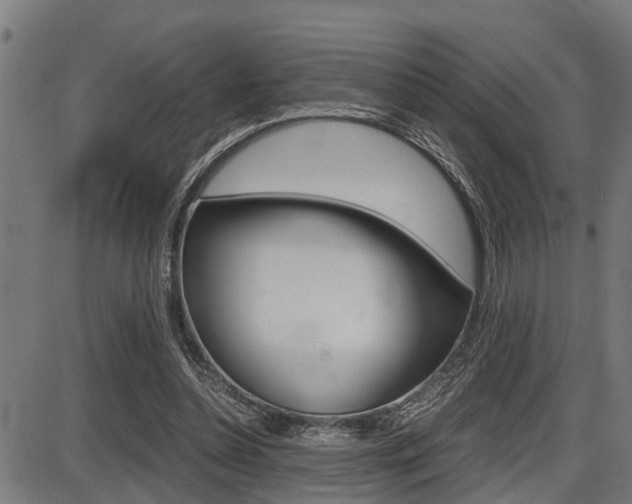 X0000087690348200705040827