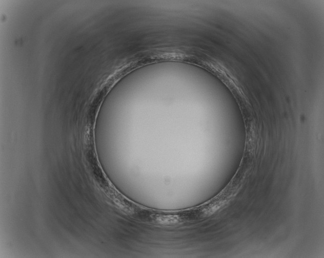 X0000087690355200705040827