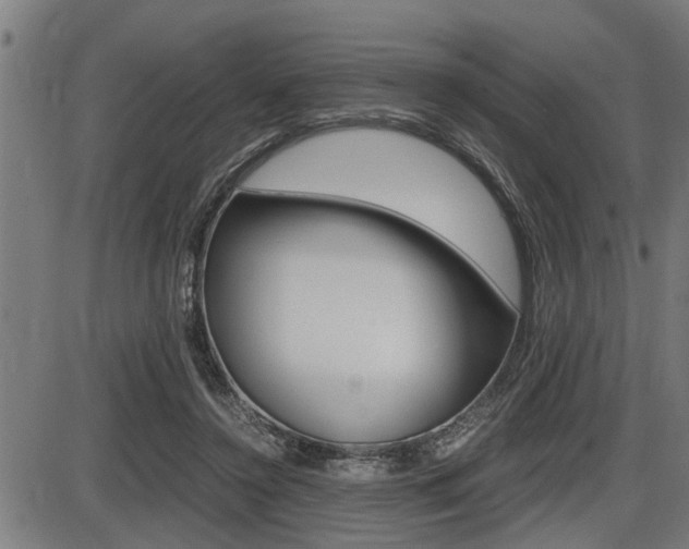 X0000087690356200705040827
