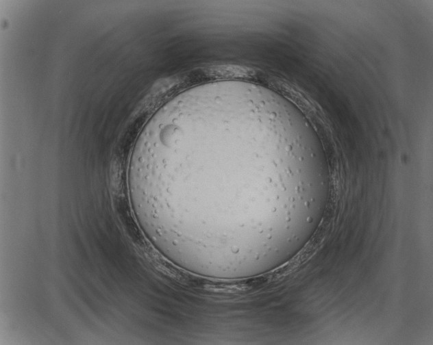 X0000087690359200705040827