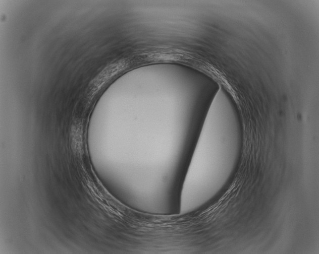 X0000087690386200705040827