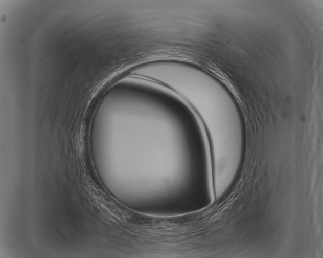 X0000087690387200705040827