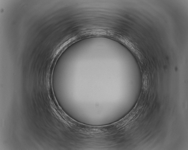 X0000087690390200705040827