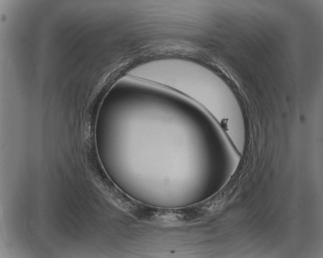 X0000087690407200705040826