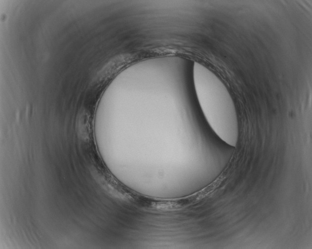 X0000087690414200705040826