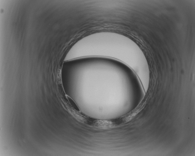 X0000087690429200705040826