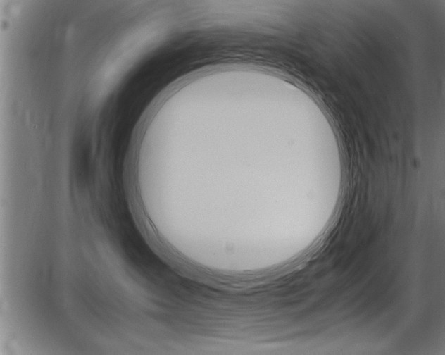 X0000087690431200705040826