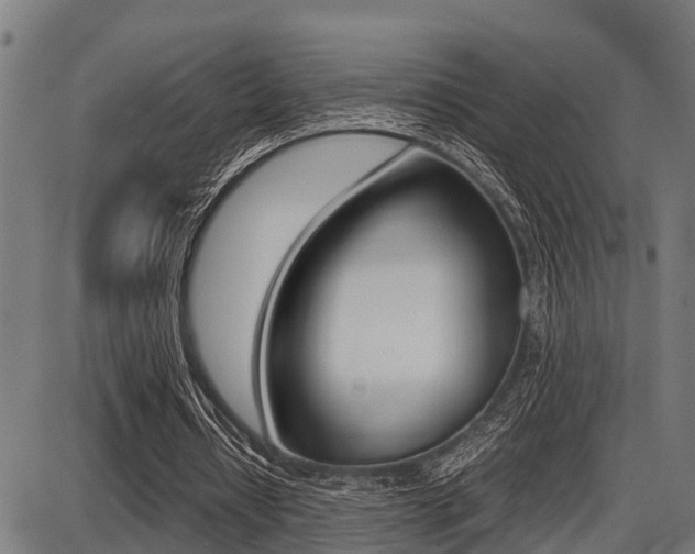 X0000087690434200705040825