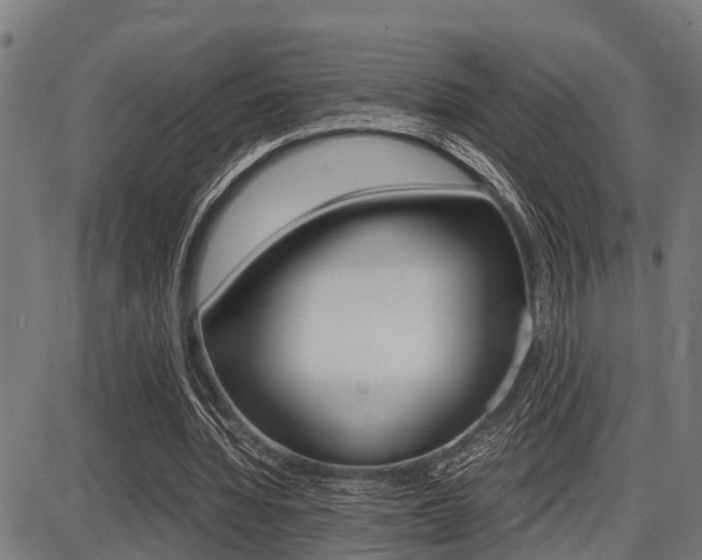 X0000087690436200705040825