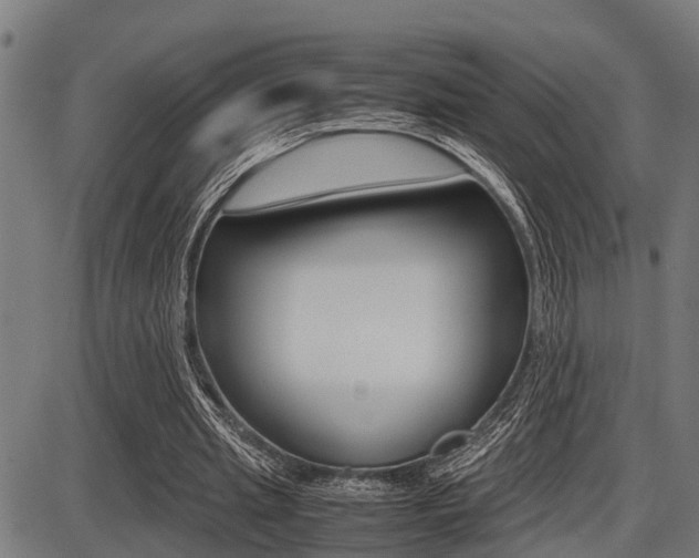 X0000087690437200705040825