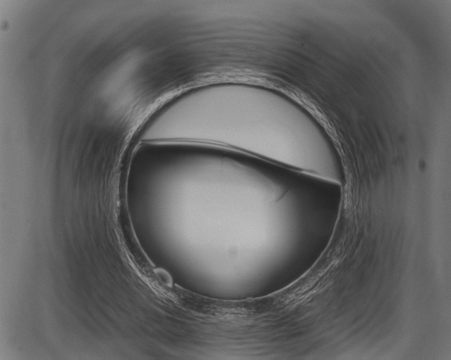 X0000087690438200705040825