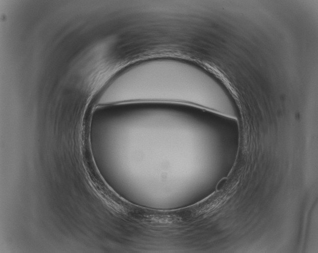 X0000087690439200705040825