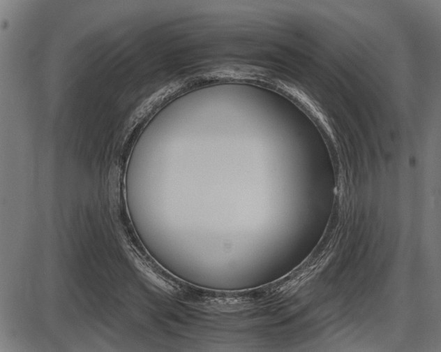 X0000087690445200705040825