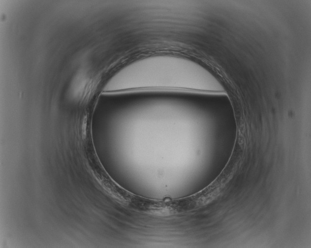 X0000087690454200705040825