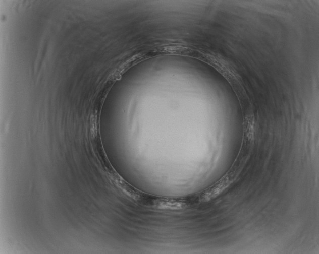 X0000087690471200705040826