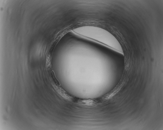 X0000087690478200705040826