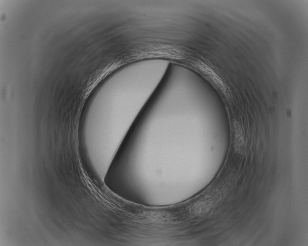 X0000087690482200705040825