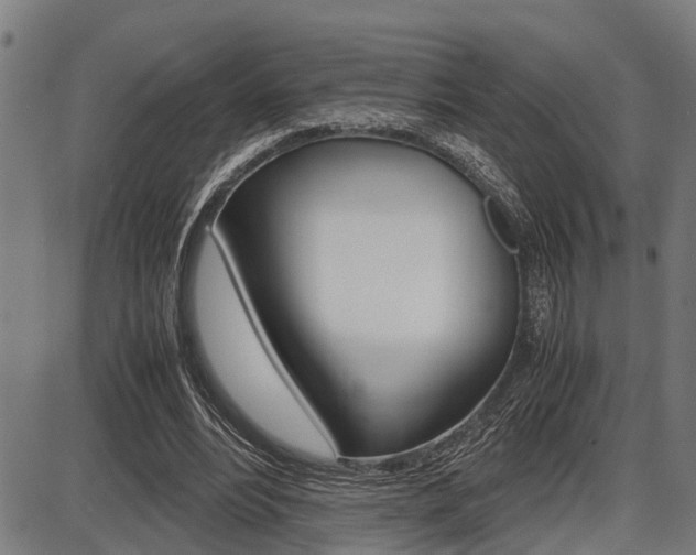 X0000087690488200705040825