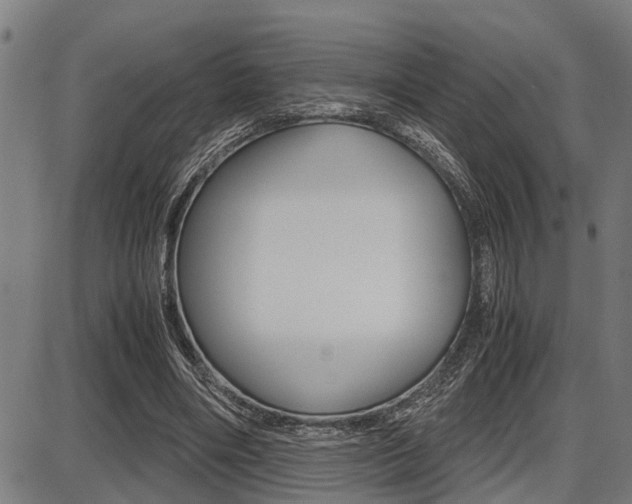 X0000087690490200705040825