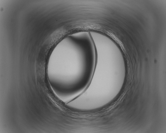 X0000087690493200705040825