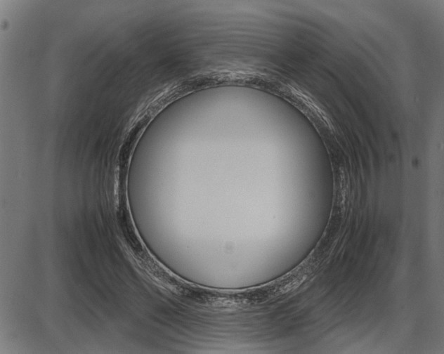 X0000087690494200705040825