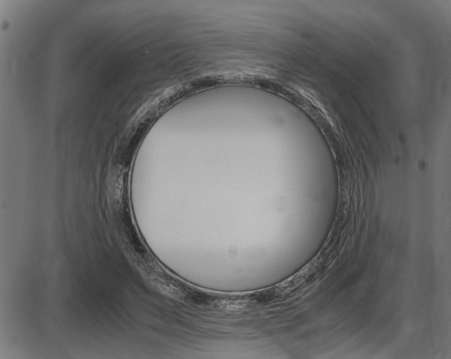 X0000087690495200705040825