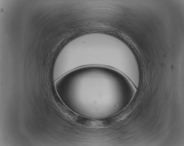 X0000087690501200705040825