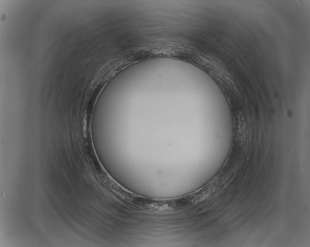 X0000087690502200705040825