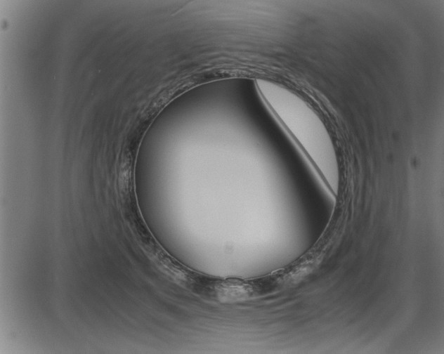 X0000087690513200705040825