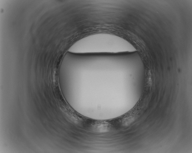 X0000087690514200705040825