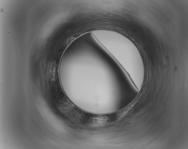 X0000087690525200705040824