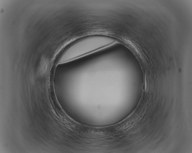 X0000087690531200705040824