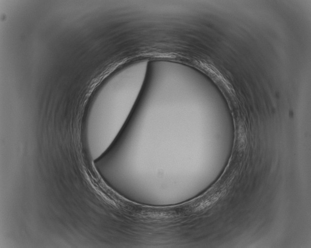 X0000087690533200705040824