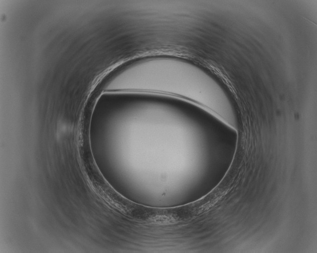 X0000087690536200705040824