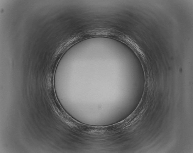 X0000087690537200705040824