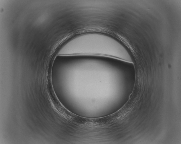 X0000087690538200705040824
