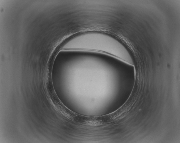 X0000087690540200705040824