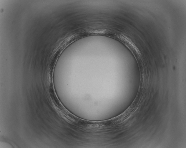 X0000087690541200705040824