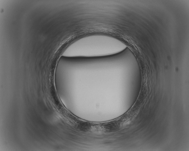 X0000087690591200705040823