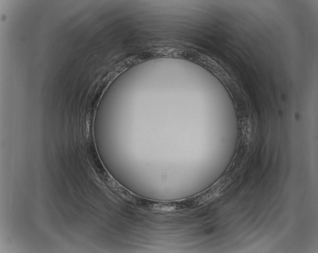 X0000087690602200705040823