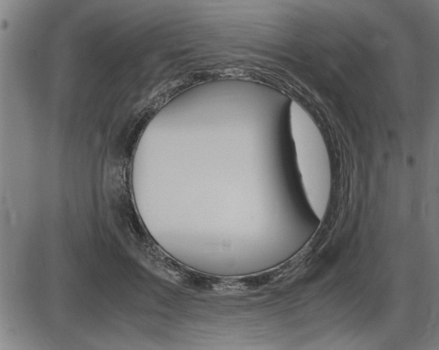 X0000087690603200705040823