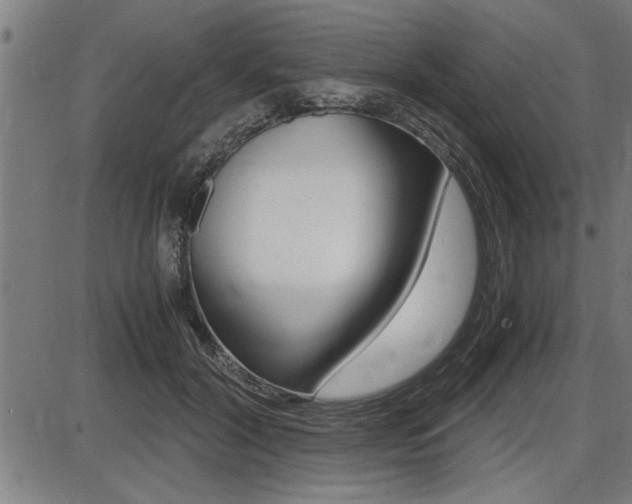X0000087690604200705040823